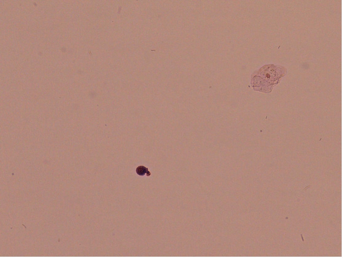 Case 1-3