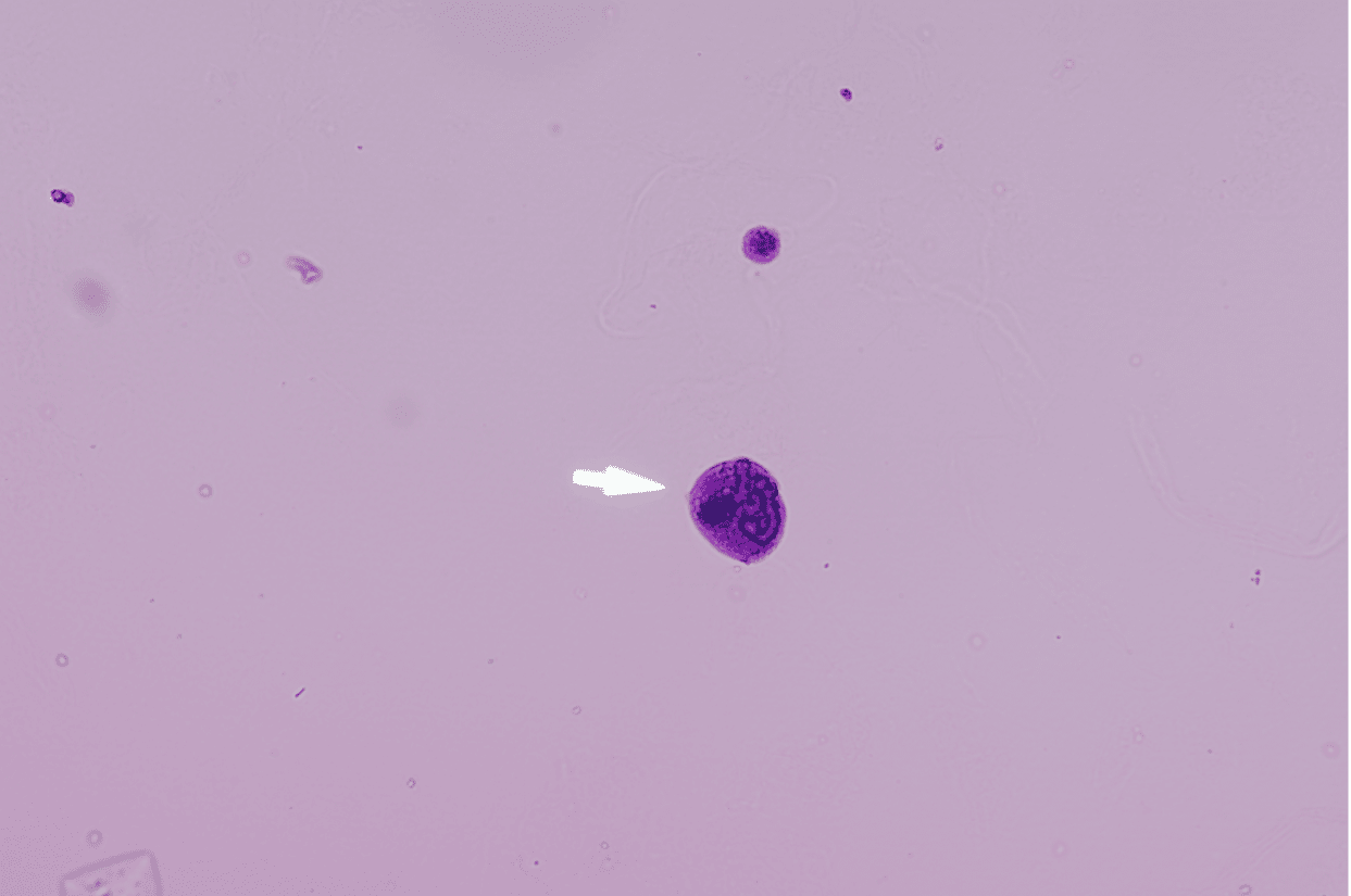 Case 2-3
